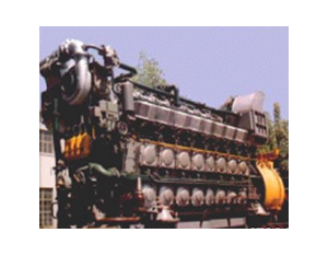 Import Diesel engine from chinese wholesale supplier and manufacturer