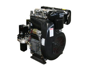 Import Diesel engine -Twin cylinder from chinese wholesale supplier and manufacturer