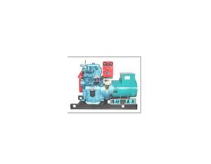 Import Diesel Generator from chinese wholesale supplier and manufacturer
