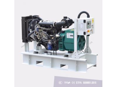 Import diesel generator set(power by YANGDONG engine) from chinese wholesale supplier and manufacturer
