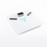 Import Digital body fat scale Battery-free from chinese wholesale supplier and manufacturer