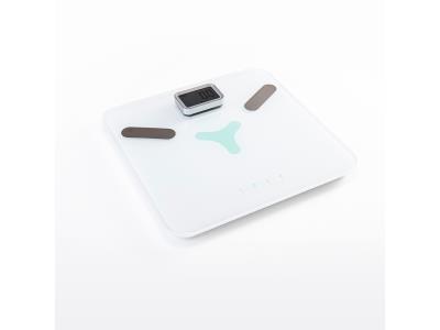 Import Digital body fat scale Battery-free from chinese wholesale supplier and manufacturer