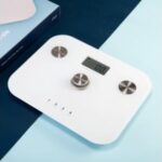 Import Digital body fat scale Battery-free from chinese wholesale supplier and manufacturer