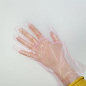 Import DISPOSABLE PE GLOVES from chinese wholesale supplier and manufacturer