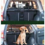 Import Dog Guard from chinese wholesale supplier and manufacturer