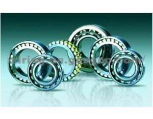 Import Double Row Cylindrical Roller Bearing Byd/ Flyer from chinese wholesale supplier and manufacturer