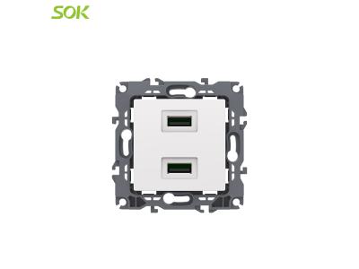 Import Double USB Outlet from chinese wholesale supplier and manufacturer