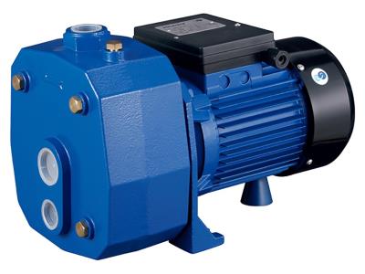 Import DP-A from chinese wholesale supplier and manufacturer