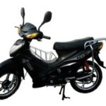 Import Dragon Guard from chinese wholesale supplier and manufacturer