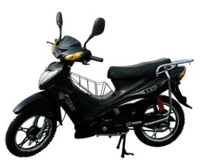 Import Dragon Guard from chinese wholesale supplier and manufacturer