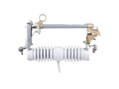 Import Drop Out fuse _1174 from chinese wholesale supplier and manufacturer
