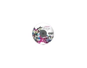 Import DVD10 from chinese wholesale supplier and manufacturer
