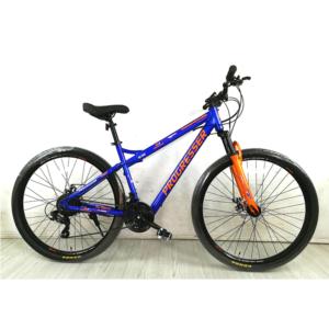 Import E-BIKE from chinese wholesale supplier and manufacturer