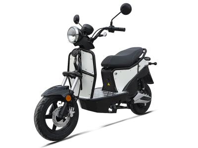 Import E-Montero- Zhongneng Moden electric scooter from chinese wholesale supplier and manufacturer
