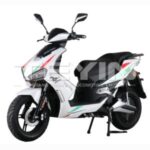Import E-MUSTANG XRS from chinese wholesale supplier and manufacturer