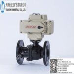 Import E-VALVES from chinese wholesale supplier and manufacturer
