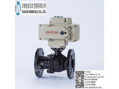 Import E-VALVES from chinese wholesale supplier and manufacturer