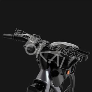 Import EB100 Electric Bike from chinese wholesale supplier and manufacturer