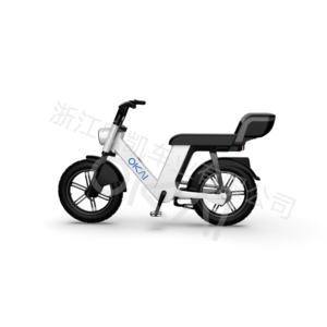 Import EB200 electric bike from chinese wholesale supplier and manufacturer