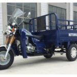 Import Economic 150cc Gasoline Cargo Tricycle from chinese wholesale supplier and manufacturer