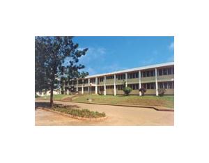Import Economicaid from chinese wholesale supplier and manufacturer