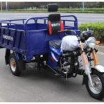 Import EEC 150CC Gasoline Cargo Tricycle from chinese wholesale supplier and manufacturer