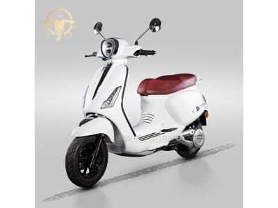 Import EEC & Coc Duck Bravo L1e L3e 72V 40ah Lithium Battery Adult Electric Scooter from chinese wholesale supplier and manufacturer