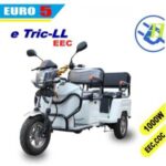 Import EEC COC EURO5 electric tricycle 3 wheel e motorcycle (T LL) EV 33 from chinese wholesale supplier and manufacturer