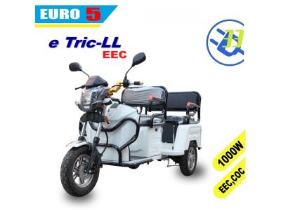 Import EEC COC EURO5 electric tricycle 3 wheel e motorcycle (T LL) EV 33 from chinese wholesale supplier and manufacturer