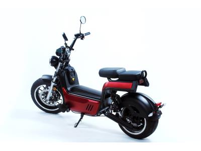 Import EEC/Coc Huge Motor Removable Battery 2-Man Fast-Charged Luqi Electric Motorcycle from chinese wholesale supplier and manufacturer