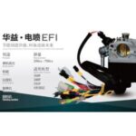 Import EFI from chinese wholesale supplier and manufacturer