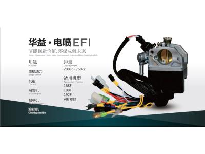 Import EFI from chinese wholesale supplier and manufacturer