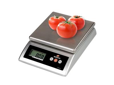 Import EHW-EC Weighing Scale (Cap: 2kgx0.5g-10kgx1g) from chinese wholesale supplier and manufacturer
