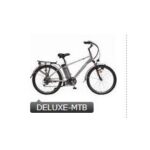 Import electric bicycle DELUXE-MTB from chinese wholesale supplier and manufacturer