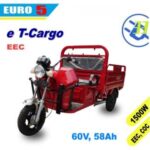 Import electric cargo trike 3 wheel EV33 motorcycle scooter EEC EURO5 COC (T Cargo) from chinese wholesale supplier and manufacturer