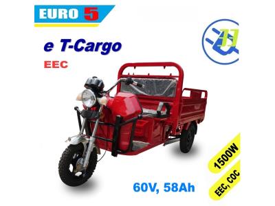 Import electric cargo trike 3 wheel EV33 motorcycle scooter EEC EURO5 COC (T Cargo) from chinese wholesale supplier and manufacturer