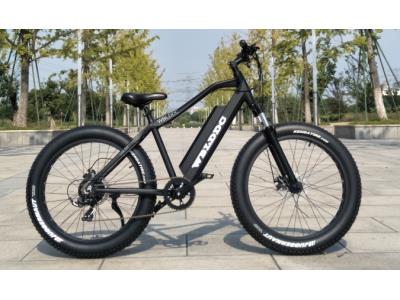 Import electric fat bike 500W from chinese wholesale supplier and manufacturer