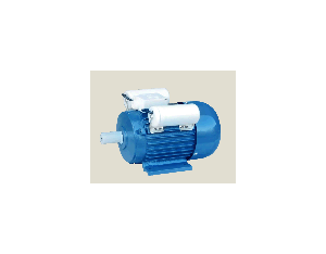 Import Electric motor from chinese wholesale supplier and manufacturer