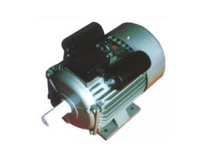 Import Electric motor from chinese wholesale supplier and manufacturer