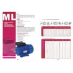 Import ELECTRIC MOTOR MOTOR ELECTRICO from chinese wholesale supplier and manufacturer