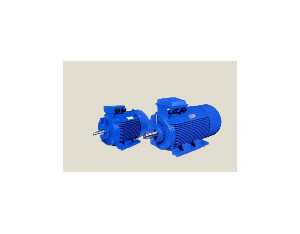 Import Electric motor from chinese wholesale supplier and manufacturer