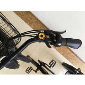 Import ELECTRIC TRICYCLE from chinese wholesale supplier and manufacturer