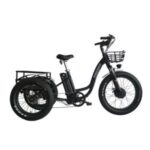 Import ELECTRIC TRICYCLE from chinese wholesale supplier and manufacturer