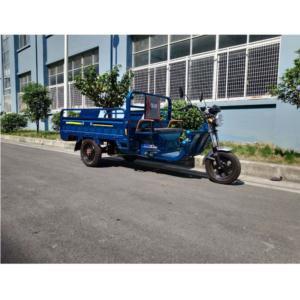 Import electric tricycle (GWSB-8) from chinese wholesale supplier and manufacturer