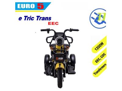 Import electric tricycle scooter e motorcycle EEC EURO5 COC (T Trans) from chinese wholesale supplier and manufacturer
