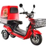 Import Electric Tricycle Scooter Motorcycle with Dual Motor for Delivery (D2D) EEC E-MARK 500W 10 from chinese wholesale supplier and manufacturer