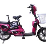 Import Electrical bicycle butterflies No.8 -2 from chinese wholesale supplier and manufacturer