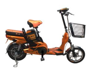 Import Electrical bicycle Hornet from chinese wholesale supplier and manufacturer