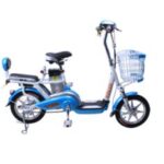 Import Electrical bicycle Li-light Rui from chinese wholesale supplier and manufacturer