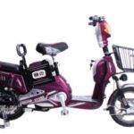 Import Electrical bicycle Maxima from chinese wholesale supplier and manufacturer